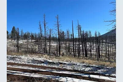 Lot 1039 Forbes Park Ranch, Fort Garland, CO 81133 - Photo 2