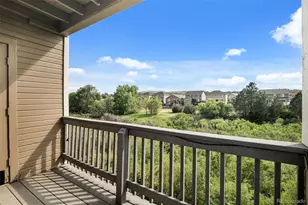 1141 S Gilbert St, Castle Rock, CO 80104 - Photo 34