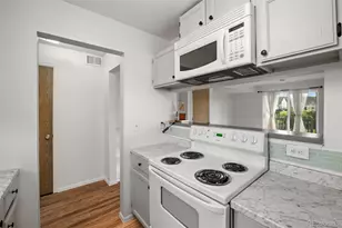 1141 S Gilbert St, Castle Rock, CO 80104 - Photo 10