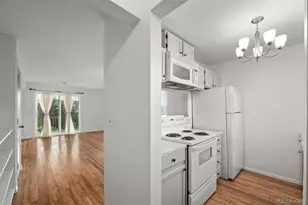 1141 S Gilbert St, Castle Rock, CO 80104 - Photo 6