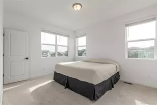 7917 Yampa River Ave, Littleton, CO 80125 - Photo 12