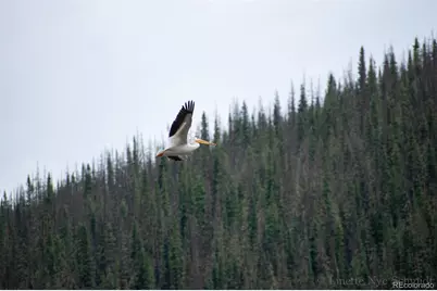 4100 Usfs 515 Road #286, Creede, CO 81130 - Photo 20