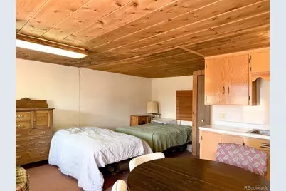 4100 Usfs 515 Road #286, Creede, CO 81130 - Photo 6