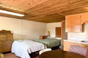 4100 Usfs 515 Road, Creede, CO 81130 - Photo 6