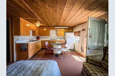 4100 Usfs 515 Road #286, Creede, CO 81130 - Photo 4