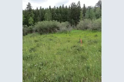 Peak To Peak Hwy, Nederland, CO 80466 - Photo 2