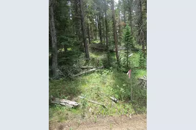 Peak To Peak Hwy, Nederland, CO 80466 - Photo 12