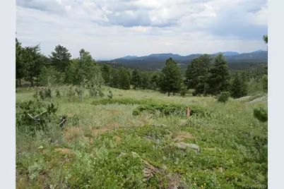 Peak To Peak Hwy, Nederland, CO 80466 - Photo 4