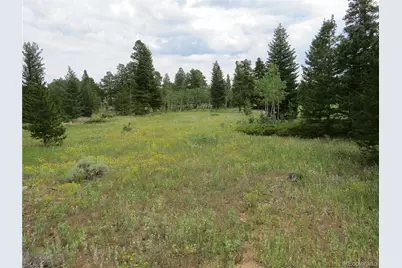 Peak To Peak Hwy, Nederland, CO 80466 - Photo 8