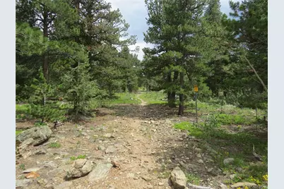 Peak To Peak Hwy, Nederland, CO 80466 - Photo 16