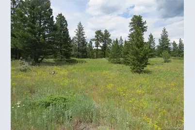 Peak To Peak Hwy, Nederland, CO 80466 - Photo 18