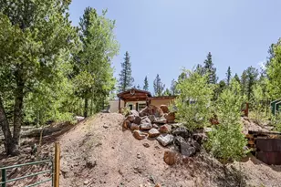 9525 S State Hwy 67, Divide, CO 80814 - Photo 24