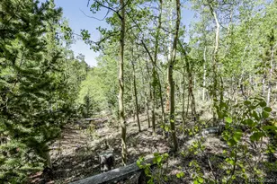 9525 S State Hwy 67, Divide, CO 80814 - Photo 38