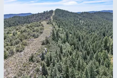 Beulah Highlands Road, Beulah, CO 81023 - Photo 10
