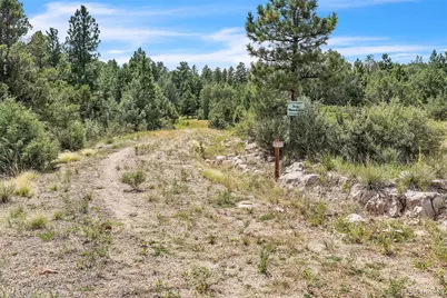 Beulah Highlands Road, Beulah, CO 81023 - Photo 18