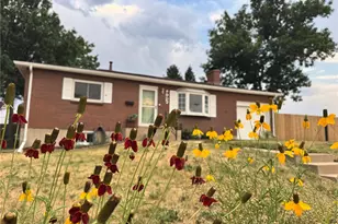 992 S Simms St, Denver, CO 80228 - Photo 50