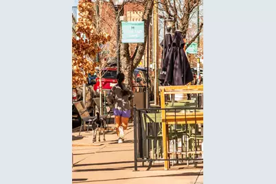 3371 W 32nd Avenue, Denver, CO 80211 - Photo 38