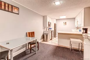 1233 N Ogden Street, Denver, CO 80218 - Photo 18