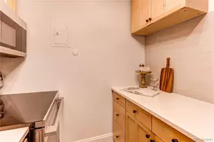 1233 N Ogden Street, Denver, CO 80218 - Photo 10
