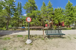 27 Lake Ridge Cir, Dillon, CO 80435 - Photo 46