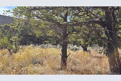 Lot 409 Williams Road, Fort Garland, CO 81133 - Photo 8