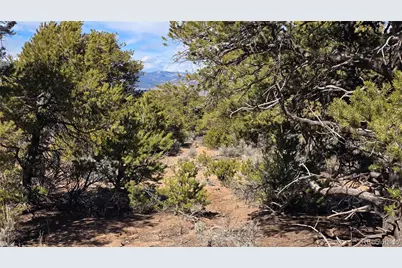 Lot 409 Williams Road, Fort Garland, CO 81133 - Photo 24