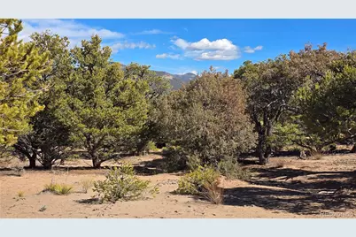 Lot 409 Williams Road, Fort Garland, CO 81133 - Photo 6