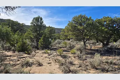 Lot 409 Williams Road, Fort Garland, CO 81133 - Photo 32