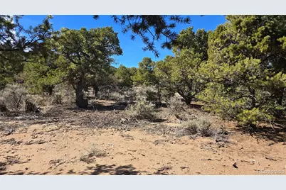 Lot 409 Williams Road, Fort Garland, CO 81133 - Photo 10