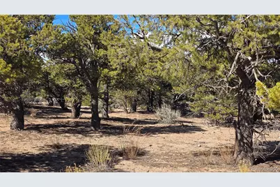 Lot 409 Williams Road, Fort Garland, CO 81133 - Photo 4