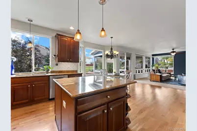 7424 Iridium Way, Castle Rock, CO 80108 - Photo 10