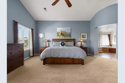 7424 Iridium Way, Castle Rock, CO 80108 - Photo 22