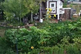 4808 Beverly Dr, Berthoud, CO 80513 - Photo 34