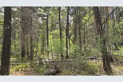 Lot 6269 Shioshita Road, San Luis, CO 81152 - Photo 22