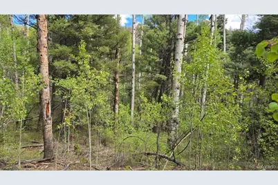 Lot 6269 Shioshita Road, San Luis, CO 81152 - Photo 12
