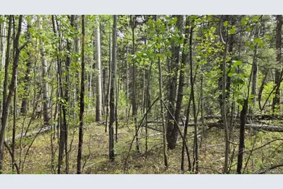 Lot 6269 Shioshita Road, San Luis, CO 81152 - Photo 14