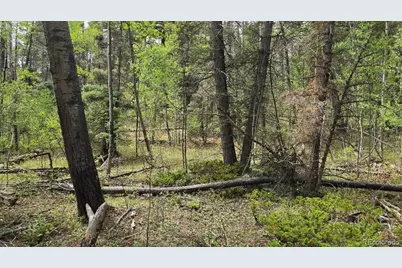 Lot 6269 Shioshita Road, San Luis, CO 81152 - Photo 4
