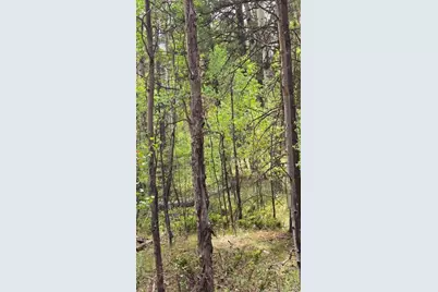 Lot 6269 Shioshita Road, San Luis, CO 81152 - Photo 24