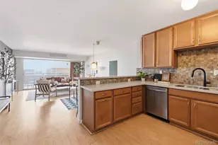1121 Albion St, Denver, CO 80220 - Photo 16