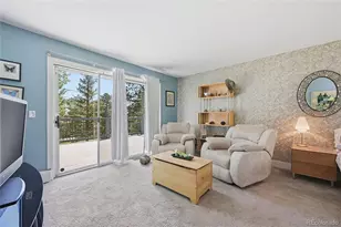31347 Tamarisk Ln, Evergreen, CO 80439 - Photo 16