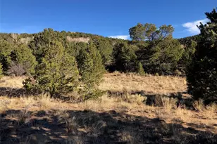 14771 Granite Pkwy, Salida, CO 81201 - Photo 1