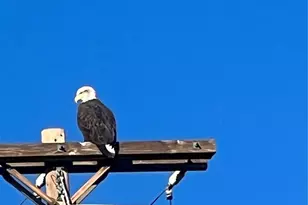 575 Howling Cir, Elizabeth, CO 80107 - Photo 46