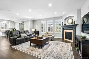 10633 Edgemont Ct, Highlands Ranch, CO 80129 - Photo 6