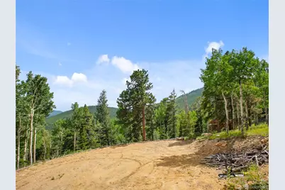 3665 Beaver Brook Canyon Road, Evergreen, CO 80439 - Photo 14