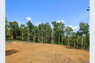 3665 Beaver Brook Canyon Road, Evergreen, CO 80439 - Photo 12