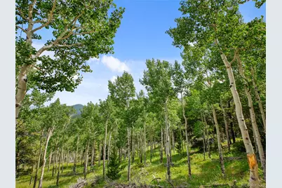 3665 Beaver Brook Canyon Road, Evergreen, CO 80439 - Photo 26