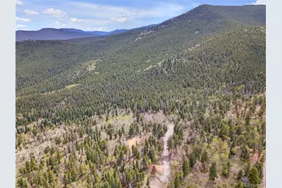 3665 Beaver Brook Canyon Road, Evergreen, CO 80439 - Photo 6