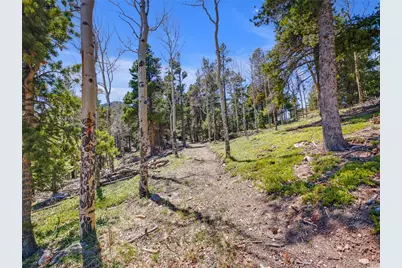 3665 Beaver Brook Canyon Road, Evergreen, CO 80439 - Photo 24
