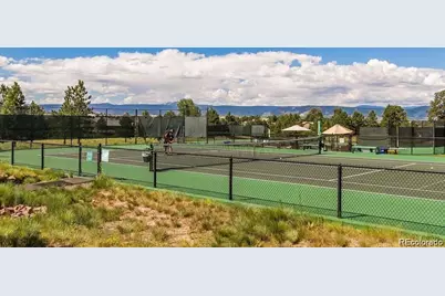 5301 Richmond Hill Court, Castle Rock, CO 80108 - Photo 46