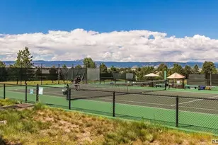 5301 Richmond Hill Ct, Castle Rock, CO 80108 - Photo 46